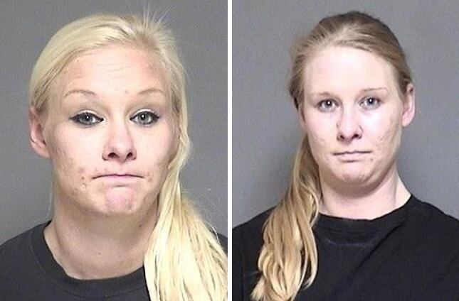 Petersen twins both file motions to dismiss charges against them in fatal Amish buggy crash case - Vimarsana News