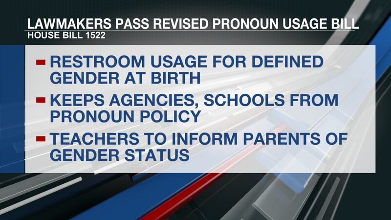 Pronoun usage