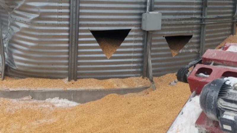 Grain bin rescue