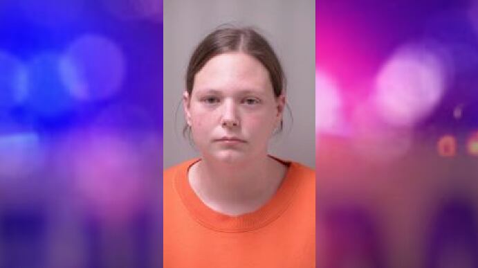 Roseau Co. daycare provider faces felony charge after admitting to spanking child out of frustration - Vimarsana News