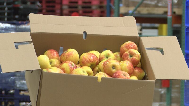 At Second Harvest Heartland